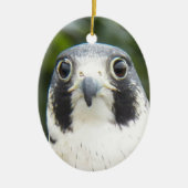 Peregrine Falcon Bird of Prey Photo Keramisch Ornament (Voorkant)