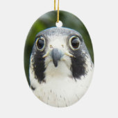 Peregrine Falcon Bird of Prey Photo Keramisch Ornament (Achterkant)