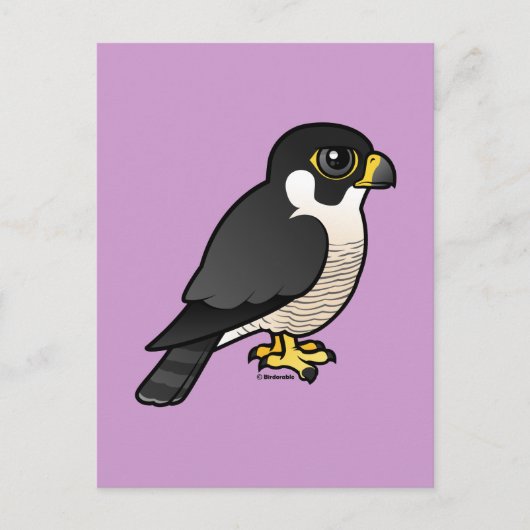 Peregrine Falcon Briefkaart (Voorkant)