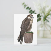 Peregrine Falcon Briefkaart (Staand voorkant)