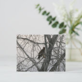 Peregrine Falcon Briefkaart (Staand voorkant)