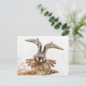 Peregrine Falcon Briefkaart (Staand voorkant)