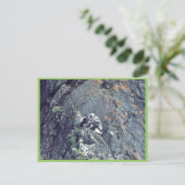 Peregrine falcon briefkaart (Staand voorkant)