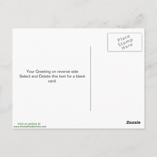 Peregrine Falcon Briefkaart (Achterkant)