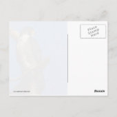 Peregrine Falcon Briefkaart (Achterkant)