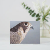 Peregrine Falcon Briefkaart (Staand voorkant)