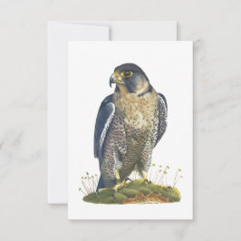 Peregrine Falcon Briefkaart-stijl Note Kaart Notitiekaartje