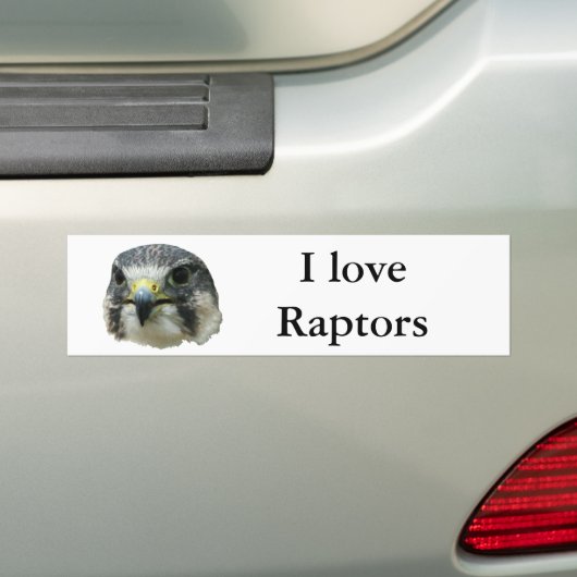 Peregrine Falcon Bumpersticker (Op auto)