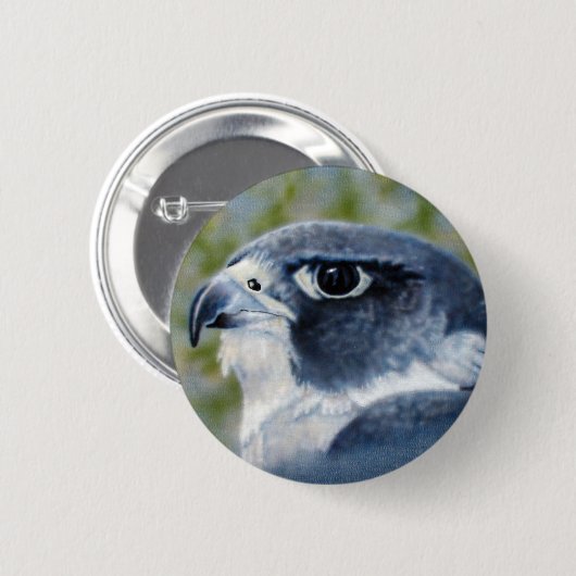 Peregrine Falcon Button (Voorkant /achterkant)