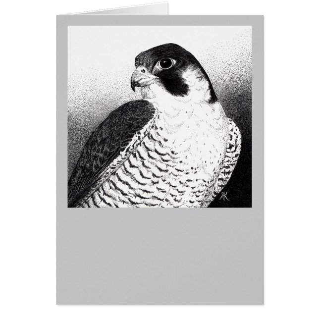 Peregrine Falcon Card (Voorkant)