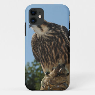 Peregrine Falcon Case-Mate iPhone Case