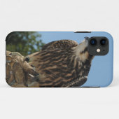 Peregrine Falcon Case-Mate iPhone Case (Achterkant (horizontaal))