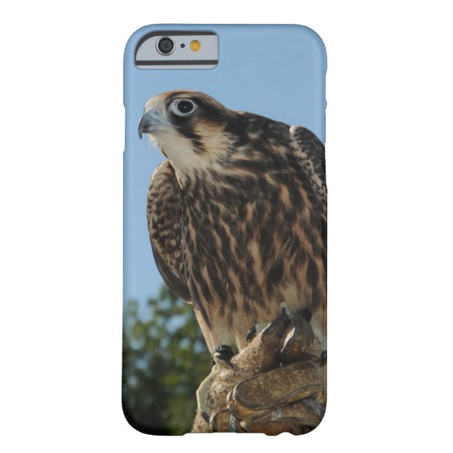Peregrine Falcon Case-Mate iPhone Case (Achterkant)