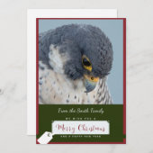 Peregrine Falcon Christmas Kaart (Voorkant / Achterkant)