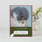 Peregrine Falcon Christmas Kaart (Staand voorkant)
