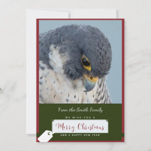 Peregrine Falcon Christmas Kaart