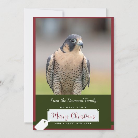 Peregrine Falcon Christmas Kaart (Voorkant)