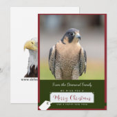 Peregrine Falcon Christmas Kaart (Voorkant / Achterkant)