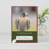 Peregrine Falcon Christmas Kaart (Staand voorkant)