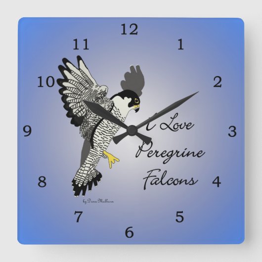 Peregrine Falcon Clock Vierkante Klok (Voorkant)