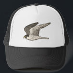 Peregrine Falcon Colored Pencil Art Trucker Pet<br><div class="desc">Bekijk deze geweldige potloodafbeelding van een peregrine valk en maak je klaar voor een snelheid! Bekijk mijn winkel ook voor meer design!</div>