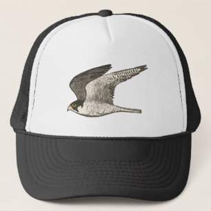 Peregrine Falcon Colored Pencil Art Trucker Pet