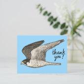 Peregrine Falcon Colored Pencil DANK U Briefkaart (Staand voorkant)