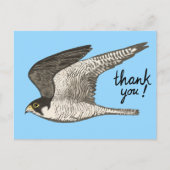 Peregrine Falcon Colored Pencil DANK U Briefkaart (Voorkant)