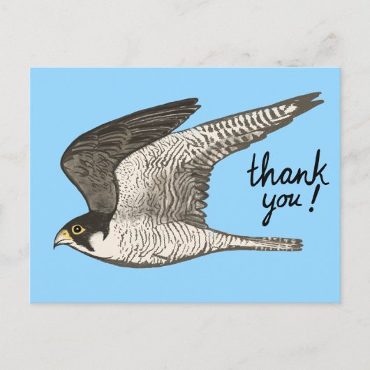 Peregrine Falcon Colored Pencil DANK U Briefkaart (Voorkant)