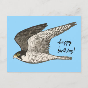 Peregrine Falcon Colored Pencil HAPPY BIRTHDAY Briefkaart