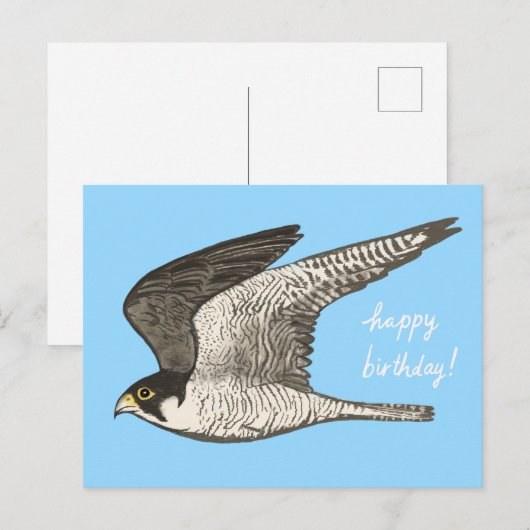 Peregrine Falcon Colored Pencil HAPPY BIRTHDAY Briefkaart (Voorkant / Achterkant)