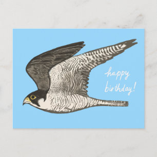 Peregrine Falcon Colored Pencil HAPPY BIRTHDAY Briefkaart