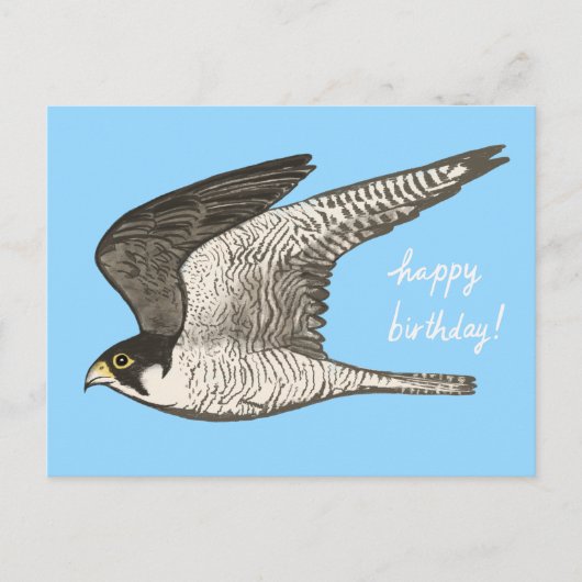 Peregrine Falcon Colored Pencil HAPPY BIRTHDAY Briefkaart (Voorkant)
