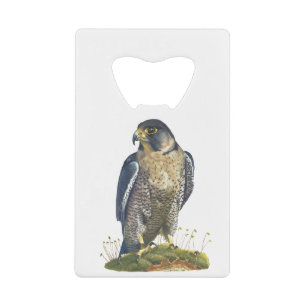 Peregrine Falcon Creditkaart Flessenopener