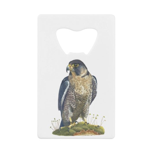 Peregrine Falcon Creditkaart Flessenopener (Voorkant)