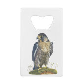 Peregrine Falcon Creditkaart Flessenopener (Achterkant)