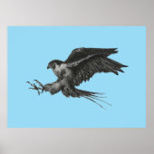 Peregrine Falcon Drawing op Canvas Poster (Voorkant)