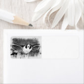 Peregrine Falcon Etiket (Insitu)