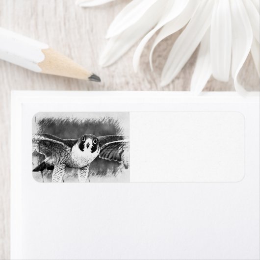 Peregrine Falcon Etiket (Insitu)