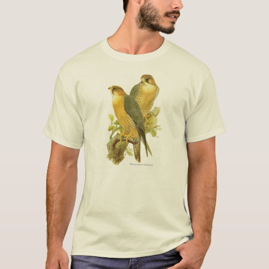 Peregrine Falcon (Falco peregrinus babylonicus) T-shirt (Voorkant)