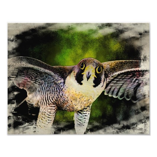 Peregrine Falcon Foto Afdruk (Voorkant)