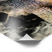 Peregrine Falcon Foto Afdruk (Hoek)