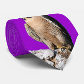 Peregrine Falcon, Hanford Falcons Stropdas (Opgerold)