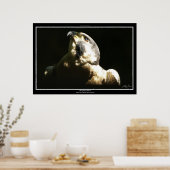 PEREGRINE FALCON I ~ Foto afdrukken of Posters (Keuken)