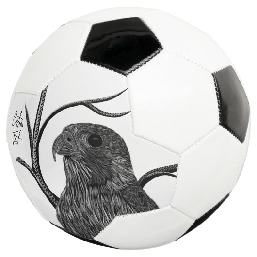 Peregrine Falcon in boomtakken met handschrift Voetbal (Drie kwart)