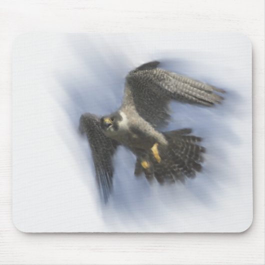 Peregrine Falcon in Flight Muismat (Voorkant)