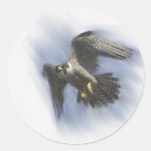 Peregrine Falcon in Flight Ronde Sticker (Voorkant)