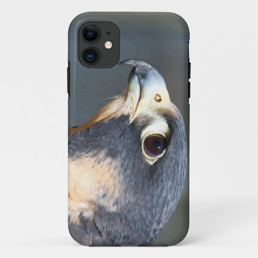 Peregrine Falcon in Profile Case-Mate iPhone Case (Achterkant)