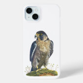Peregrine Falcon Iphone case (Achterkant)