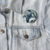 Peregrine Falcon, jeugdig Ronde Button 5,7 Cm (In situ)